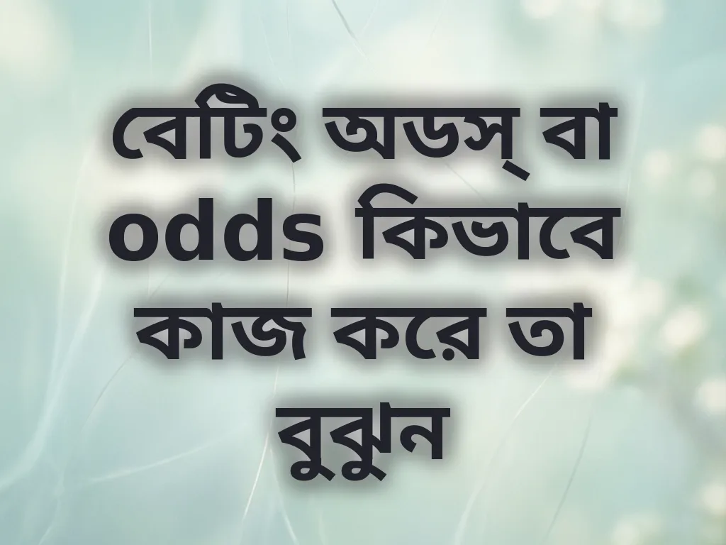 বেটিং অডস্ গাইড